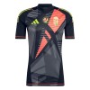 Maglia da Calcio Portiere Ungheria Euro 2024 Nera per Uomo